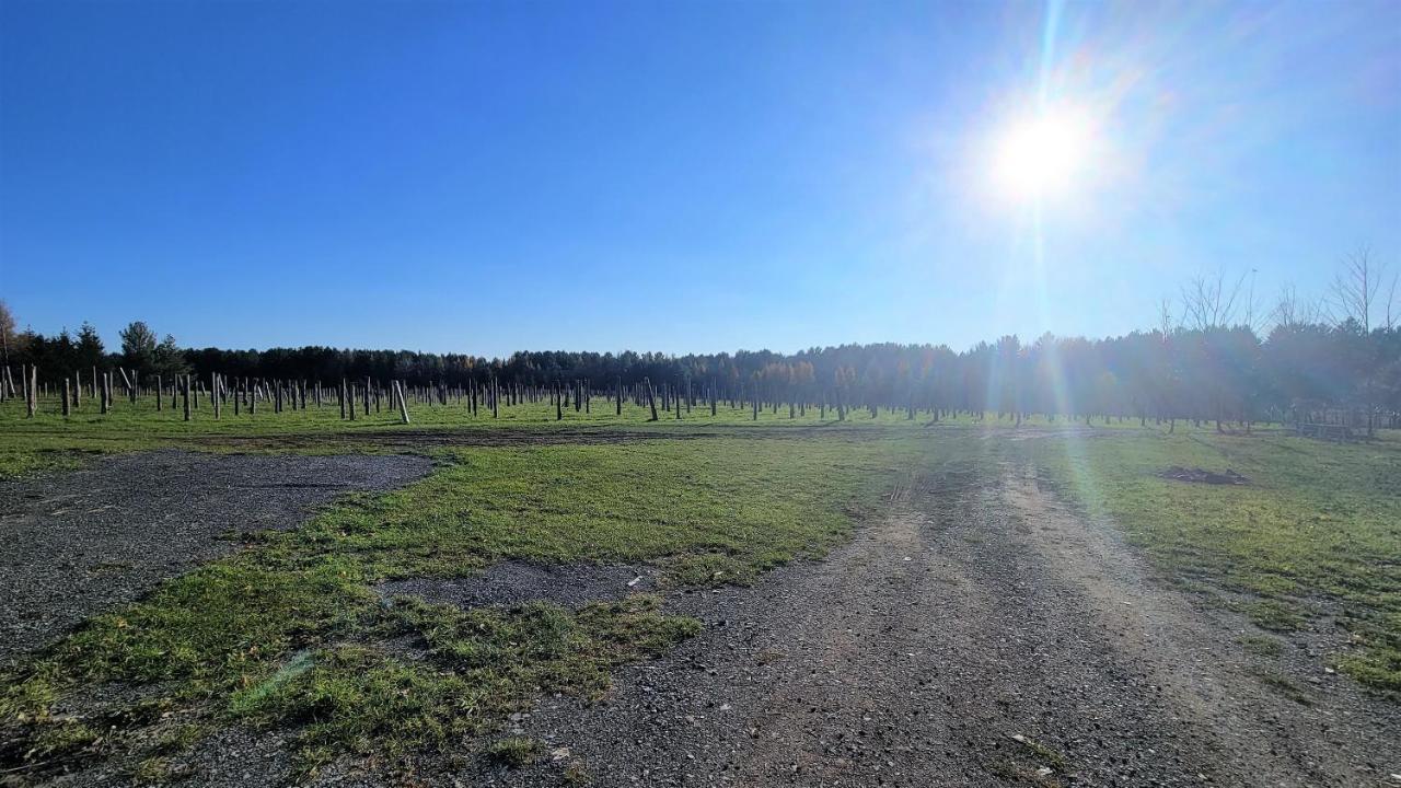 Auberge Du Vignoble Bromont Exteriör bild